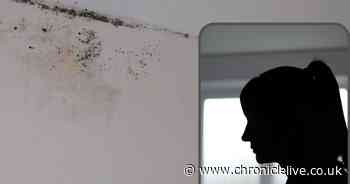 Walkergate mum forced to bin food, pans and daughter's toy box as rats, mould and damp infest home