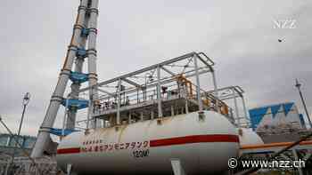 Ammoniak als Kohleersatz: wie Japan die Wasserstoffwirtschaft fördert