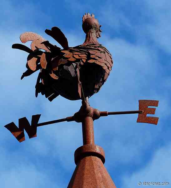 Xi & Vlad – crowing for top dog status