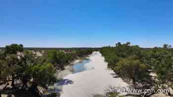 Millions of dead fish cover Australian river