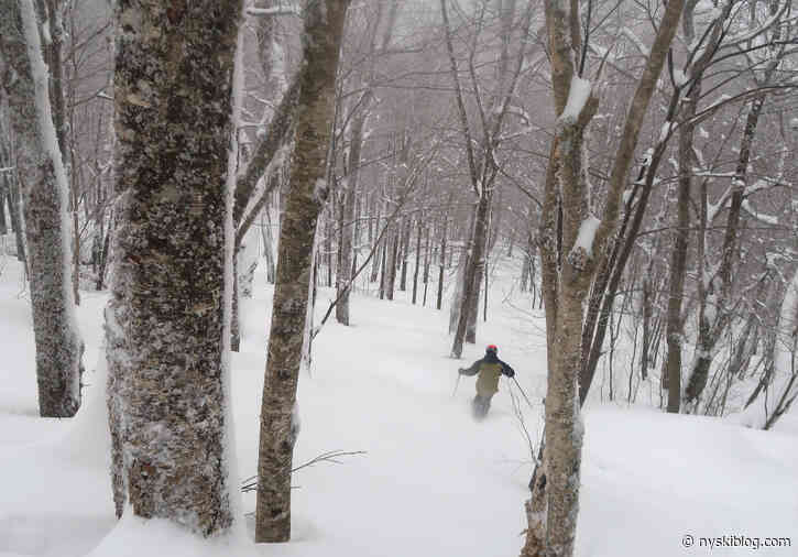 Plattekill Powderdaize 2023