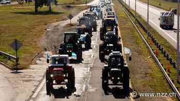 Argentinien hat jetzt über 100 Prozent Inflation im Jahr – der Regierung fällt nichts ein, wie sie die wachsende Entwertung stoppen kann