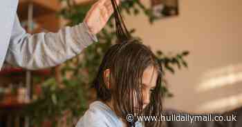 'I want to cut off my nine-year-old son's lice-infested hair - but he hates the idea'