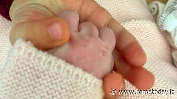 Belotti dimentica il Derby. Il Gallo di nuovo papà: è nata Benedetta