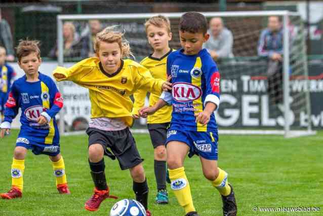 Stad verkoopt voetbalvelden, volkstuinen en stuk Netepark aan ANB: “Evenwicht creëren tussen stad, water en nieuwe natte natuur”