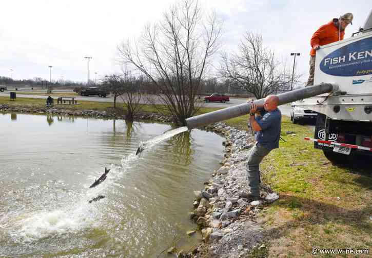 Channel catfish stocked in Indiana urban lakes