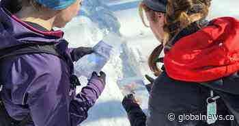 McMaster study suggests ‘orienteering’ improves brain function, diminishes cognitive decline