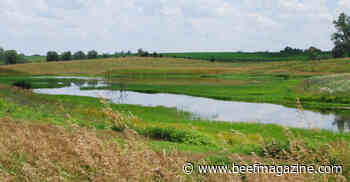 WOTUS struck down in two states