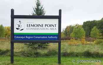 Kingston, Ont.-area conservation authority says spring flooding not likely