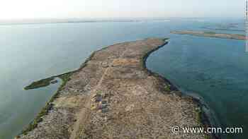 Archeologists discover 'oldest pearling town' in the Persian Gulf