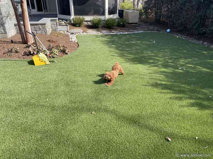 Arlingtonian starts pet waste removal service that scoops poop for a cause