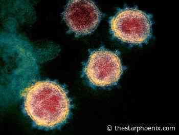 COVID-19 infections on the rise in Saskatoon and Regina