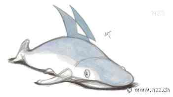 KOMMENTAR - Die neue UBS wird zusehends zu einer Staatsbank. Das verheisst nichts Gutes