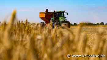 Kreml droht mit Aus für Getreide-Abkommen