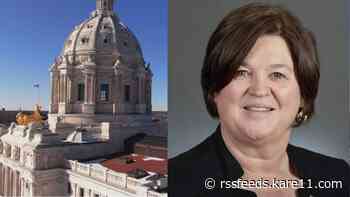 Rep. Debra Kiel hospitalized following minor stroke