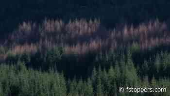 Is This the Ultimate Camera for Landscape Photographers?