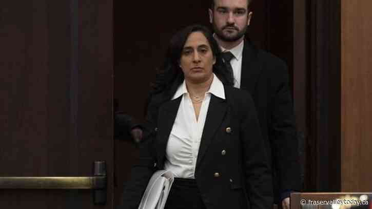 ‘Not a matter of state secrets’: Anand dismisses concerns over McKinsey contracts