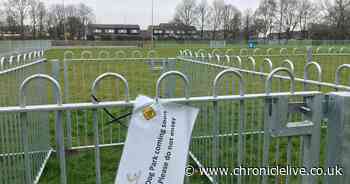 Northumberland town to get first dog park where pet pooches can have off-lead fun