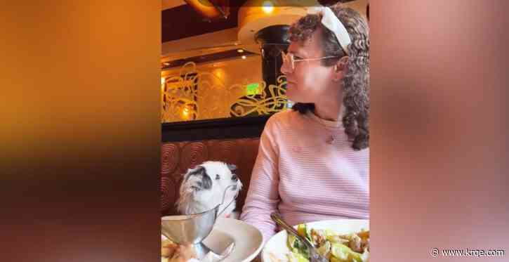 Anti-trans rant at San Francisco Cheesecake Factory caught on video