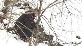 High sodium rates in Muskoka sparks concern over lake health