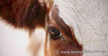 Gov't deliberately stalling on live-ex compensation: NTCA