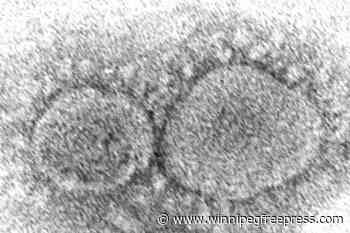 Biden signs bill on COVID origins declassification