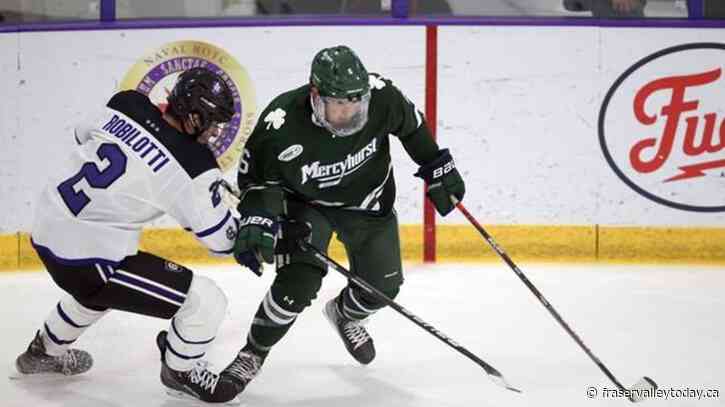 Carson Briere charged for pushing wheelchair down stairs