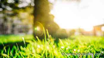 Spring 2023 is Officially Here — But What Exactly is The Vernal Equinox?