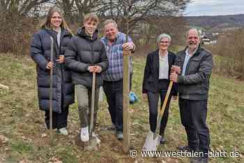 Kalletal: Prinzenpaare pflanzen Baum