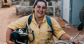 Shearing wraps up at Rawlinna station