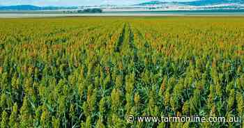 Outstanding cropping and mixed grazing country