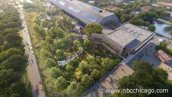 Brookfield Zoo Expanding Outdoor Areas for Apes and Monkeys