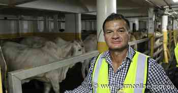 Vowles takes over reigns at NT live exporters