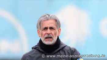 Maurizio Jacobacci bringt Löwen zurück in die Spur – „Winner“ in vier Schritten