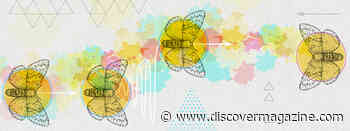 How Animals Follow Their Nose