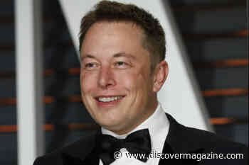 Is Elon Musk a Scientist?