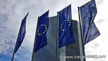 Geldpolitik: EZB-Ratsmitglied Holzmann: Gibt nicht notwendigerweise drei weitere Zinsschritte