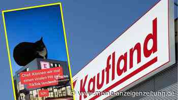Wie Kaufland mit einer Katze auf TikTok viral gehen will