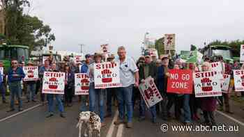 Farmers accuse controversial Victorian energy project's representatives of 'running into bushes' to avoid protest