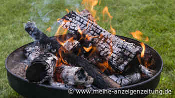 Zehn Tipps, wie Sie im Garten Energie sparen können 