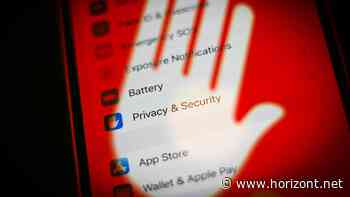 Datenschutz-Beschwerde: Politische Parteien stehen wegen gezielter Politik-Werbung am Pranger