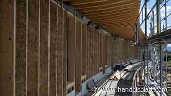 Klimaschutz: Bauen mit Hanf, Flachs und Pilzen: Wie Gebäude CO2 speichern