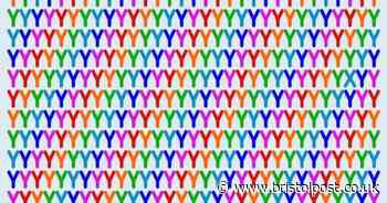 If you have a high IQ you’ll quickly spot the odd letter in this tricky brain teaser