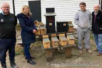 Epping Forest charity's scheme provides new Swaines Green bird boxes