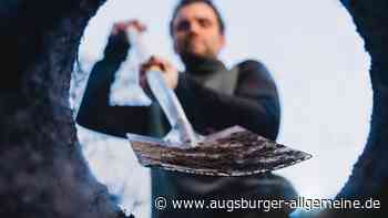 Waldkrise: Forstgewerkschaft will mit neuem Baum ein Zeichen setzen