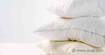 You've Never Cleaned Your Pillow? Here's Why You Should Right Now     - CNET