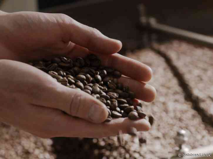 Seasonal Filter & Blends With Union Coffee