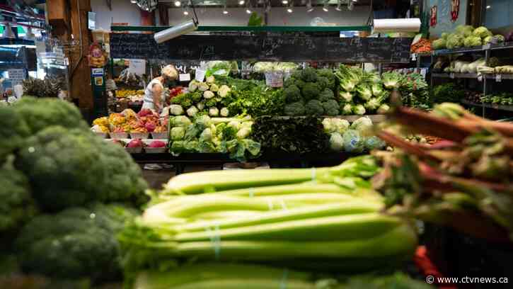 Inflation in Canada: February saw largest deceleration since April 2020