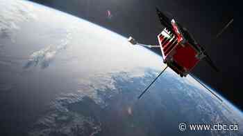 U of A students celebrate successful launch of wildfire-monitoring satellite