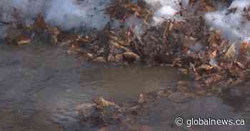 Potholes to puddles: Calgary crews in full swing amid spring melt